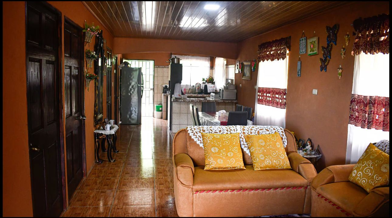 Lote 3