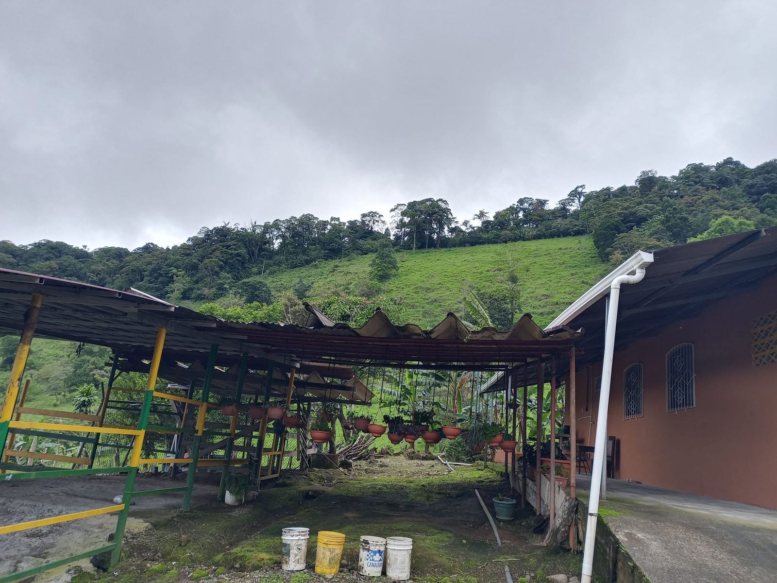 Lote 3
