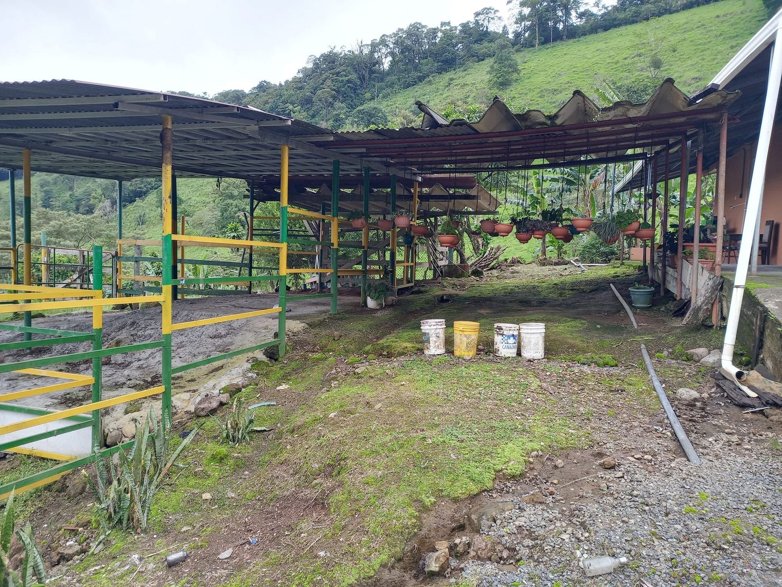 Lote 3