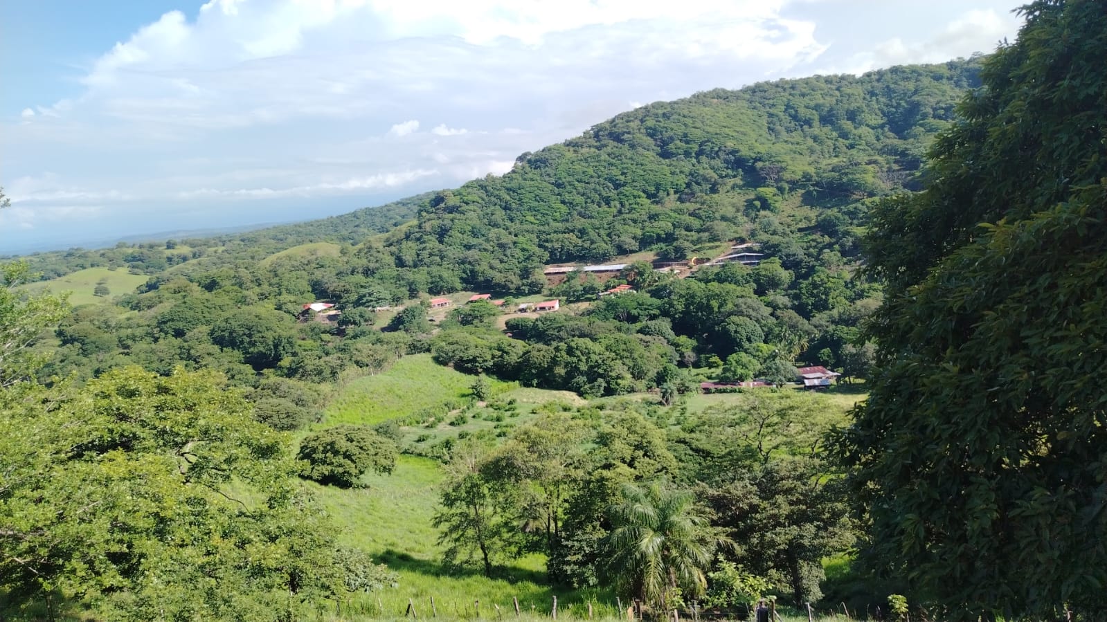 Finca en venta